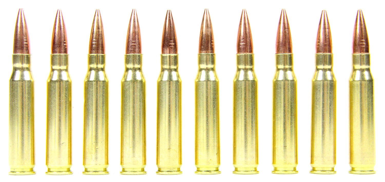 10 Dummy Trainer NATO 7.62x51 and .308 Winchester Ammo Rounds